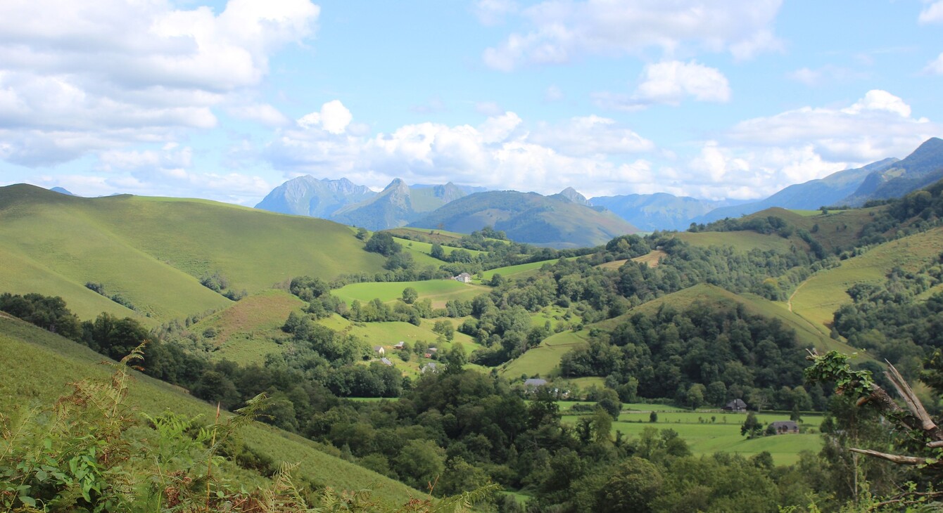 Paysage Pyrénées