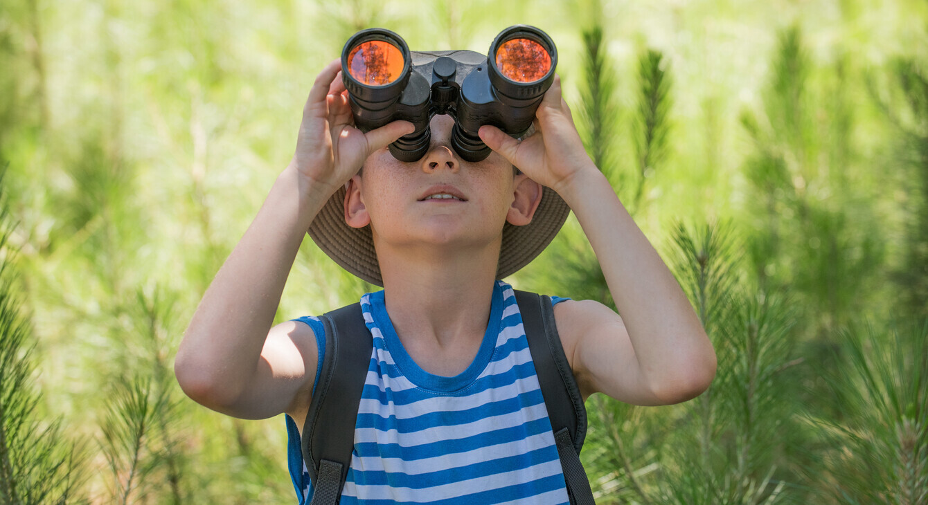 Bannière vacances apprenantes