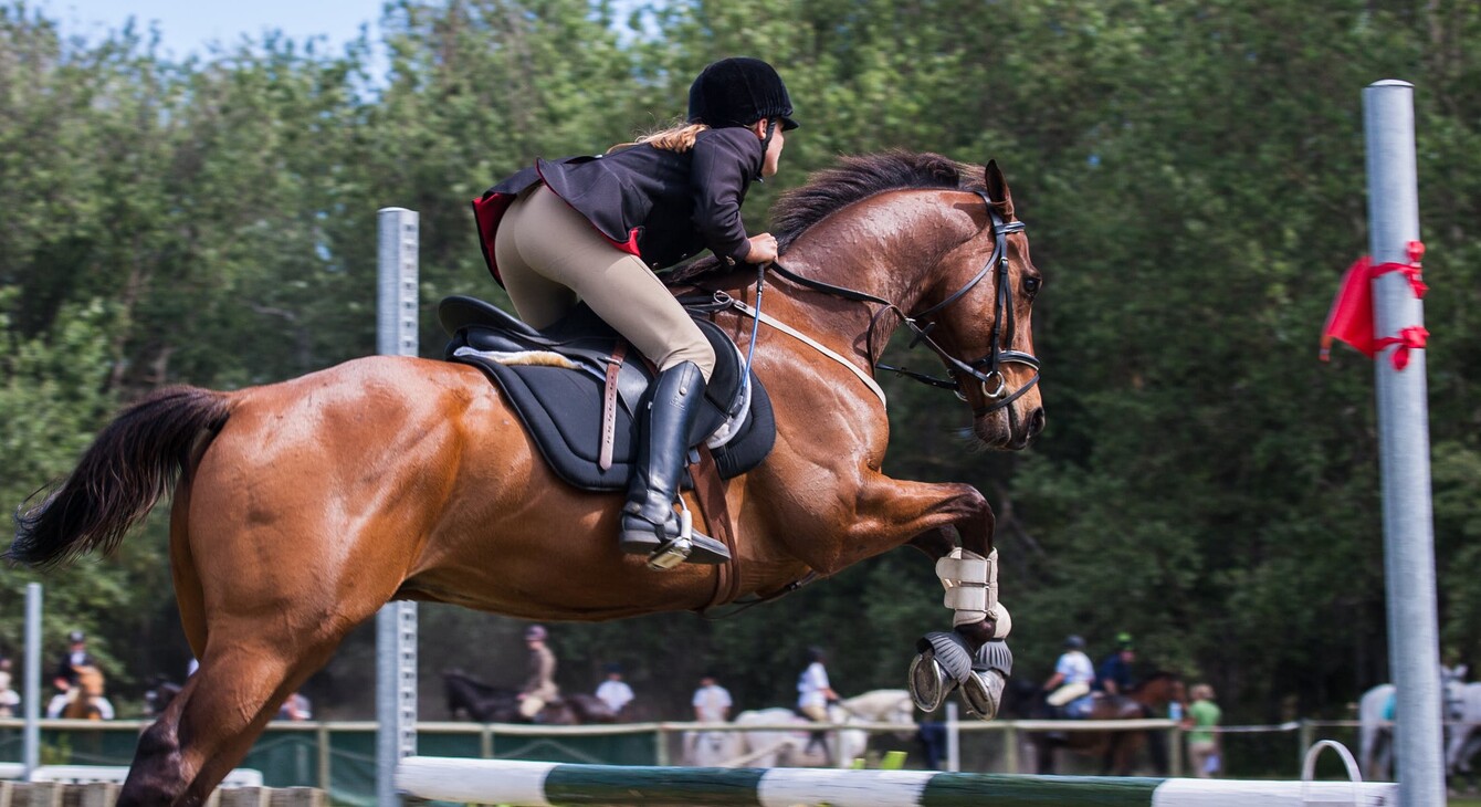 DEJEPS Tir sportif  Académie de Bordeaux