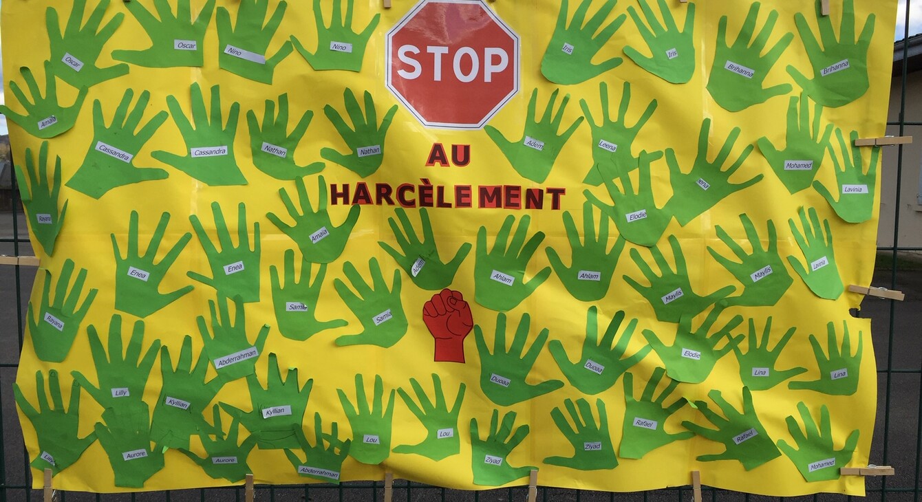 NAH à l'école Saint-Cricq Oloron 