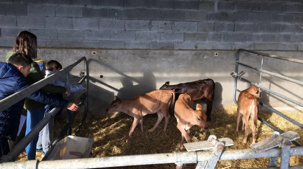 Garlin de la ferme a l assiette 
