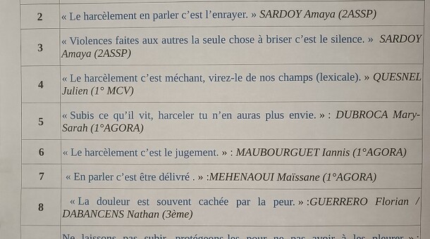 NAH au lycée Francis Jammes d'Orthez 