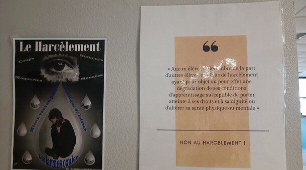 NAH au lycée Francis Jammes d'Orthez 