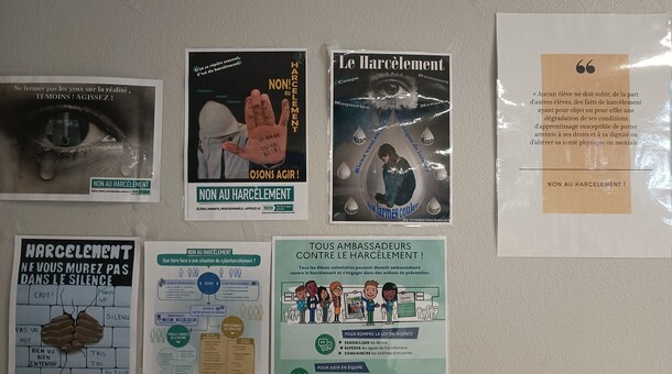 NAH au lycée Francis Jammes d'Orthez 