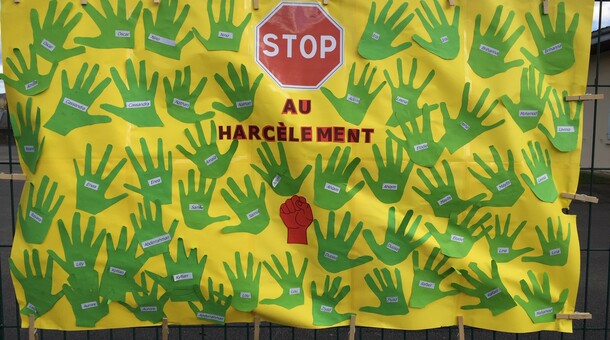 NAH à l'école Saint-Cricq Oloron 