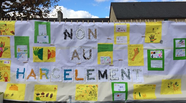 NAH à l'école Saint-Cricq Oloron 