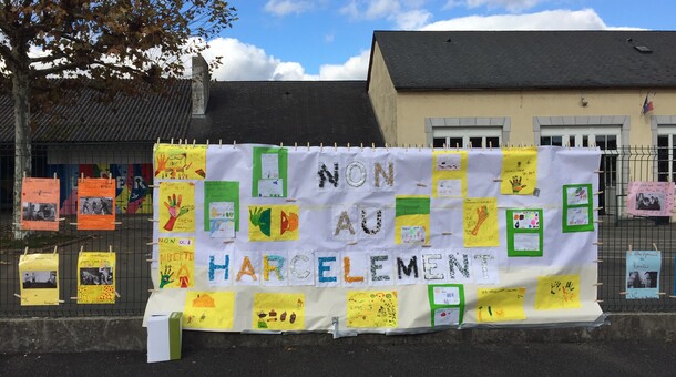 NAH à l'école Saint-Cricq Oloron 