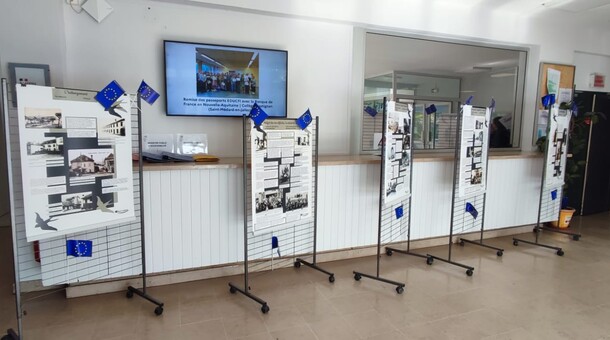 Expo les hirondelles Rectorat 