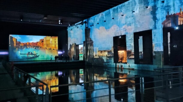 Expo les hirondelles Rectorat 