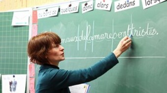 enseignante au tableau