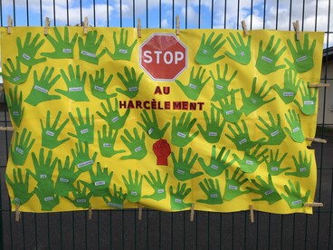 NAH à l'école Saint-Cricq Oloron 